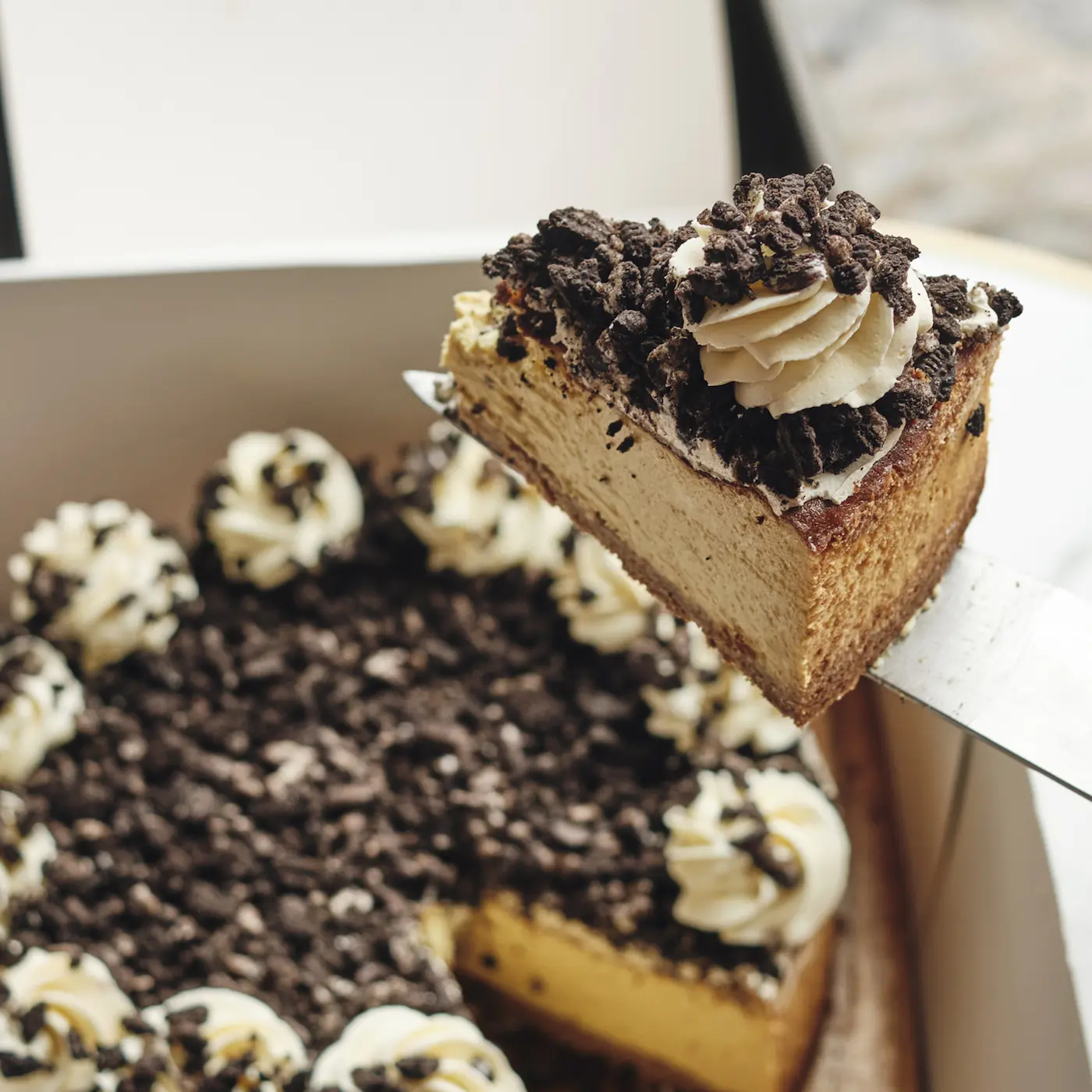 cakes_and_friends_bakery-square-00005